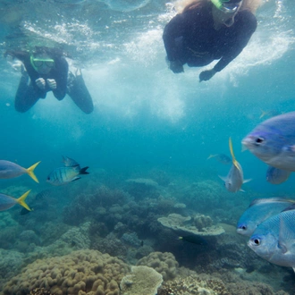 tourhub | G Adventures | Brisbane to Cairns Experience: Sand Dunes & the Whitsundays 