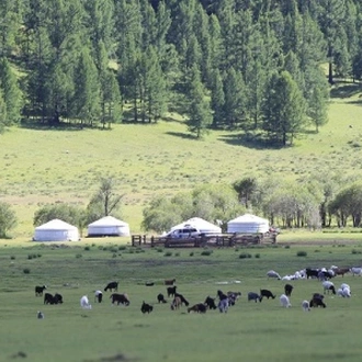 tourhub | Tweet World Travel | 12-Day Best Of Mongolia Luxury Tour 