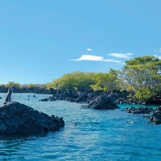 tourhub | BM Tours | 5 Days Galapagos Tour: Santa Cruz and Isabela Islands 