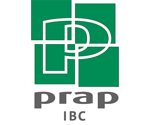 Représentation de la formation : Formation PRAP IBC