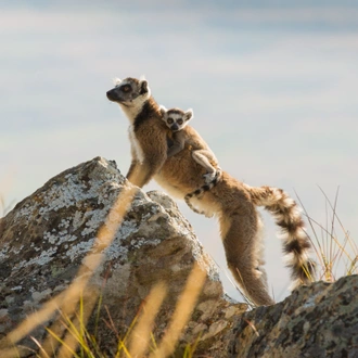 tourhub | G Adventures | Highlights of Madagascar 