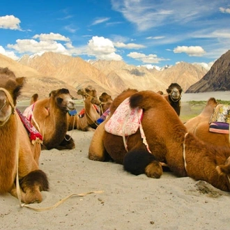 Beautiful Ladakh