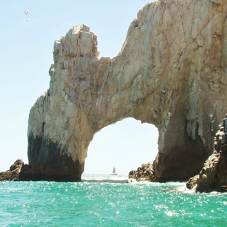 tourhub | Bamba Travel | Baja's Ocean Giants: From La Paz to Los Cabos Quest 7D/6N 