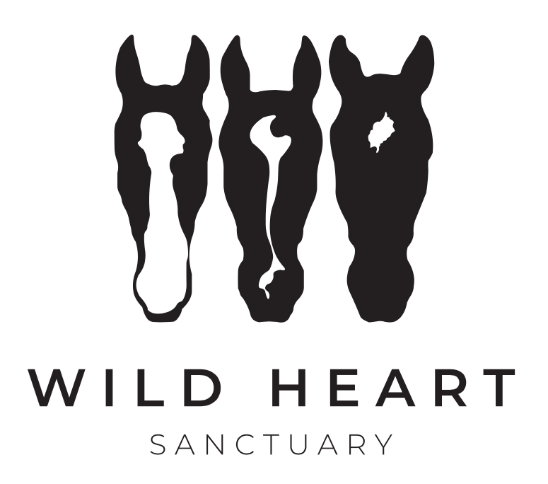 Wild Heart Sanctuary logo