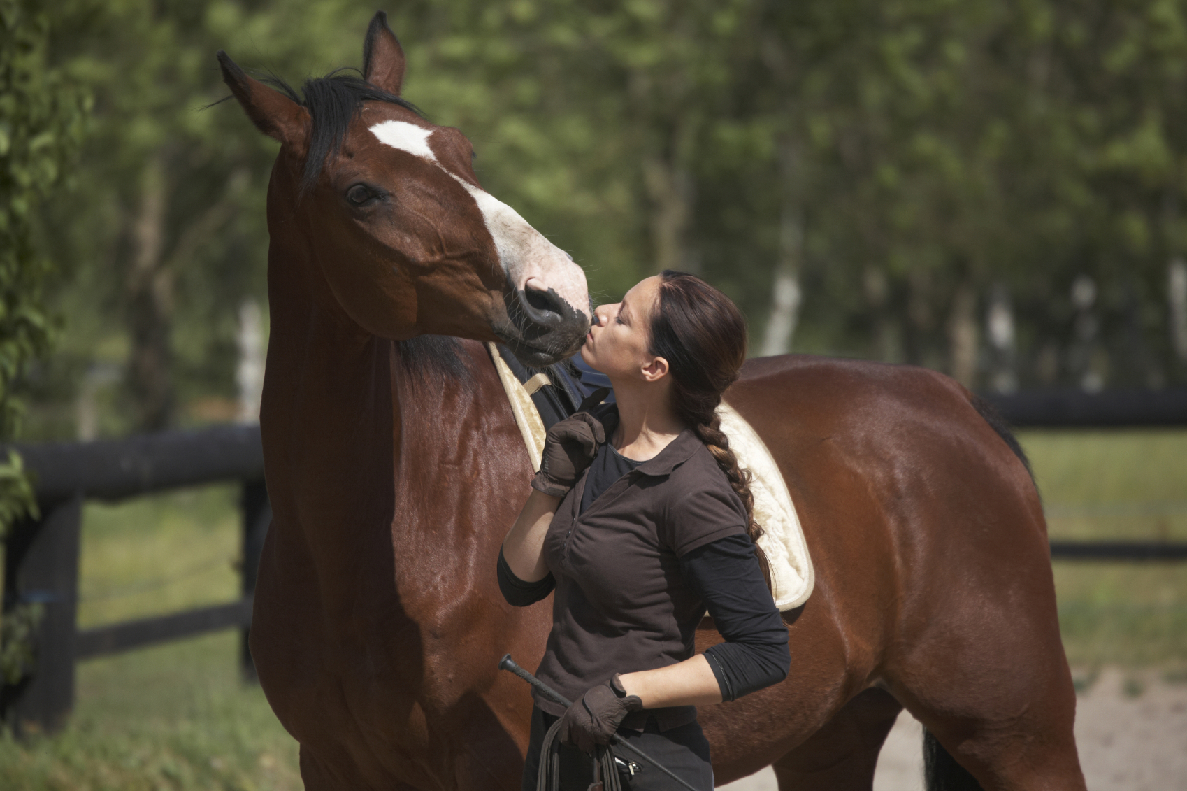 Equine Metabolic Syndrome; Understanding Cause and Therapy Easily | No