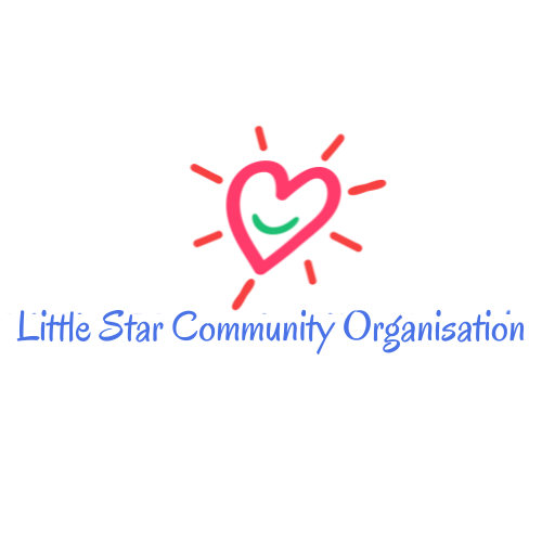 Little Star Community Organisation