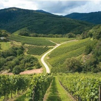 tourhub | UTracks | Alsace Mountains & Vineyards 