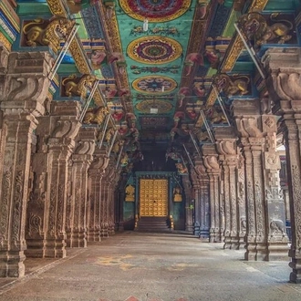 tourhub | Agora Voyages | South India Temple, Hill Station & Palaces 