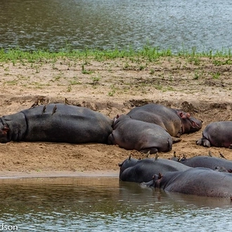 tourhub | Timeline Travel | Victoria Falls, Chobe, Kruger and Cape Town 