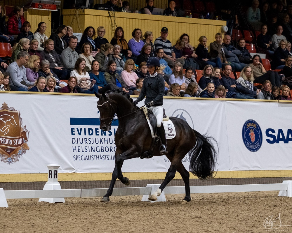 Charlotte Dujardin på Breeders Trophyvinnaren Mr Grey VH. Fotograf: Filip Jenå