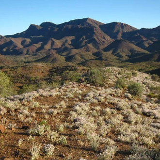 tourhub | Intrepid Travel | Walk South Australia's Flinders Ranges 