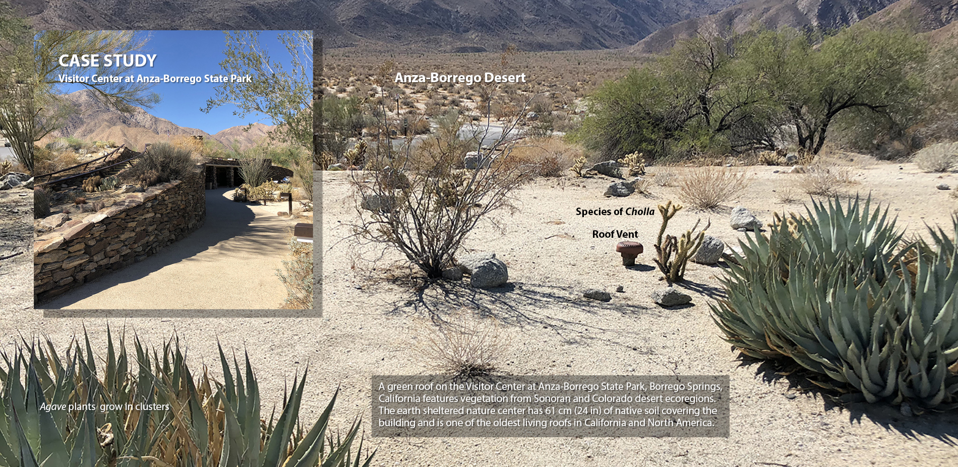 Ecoregional Green Roof in the Anza-Borrego Desert (Chapter 5)