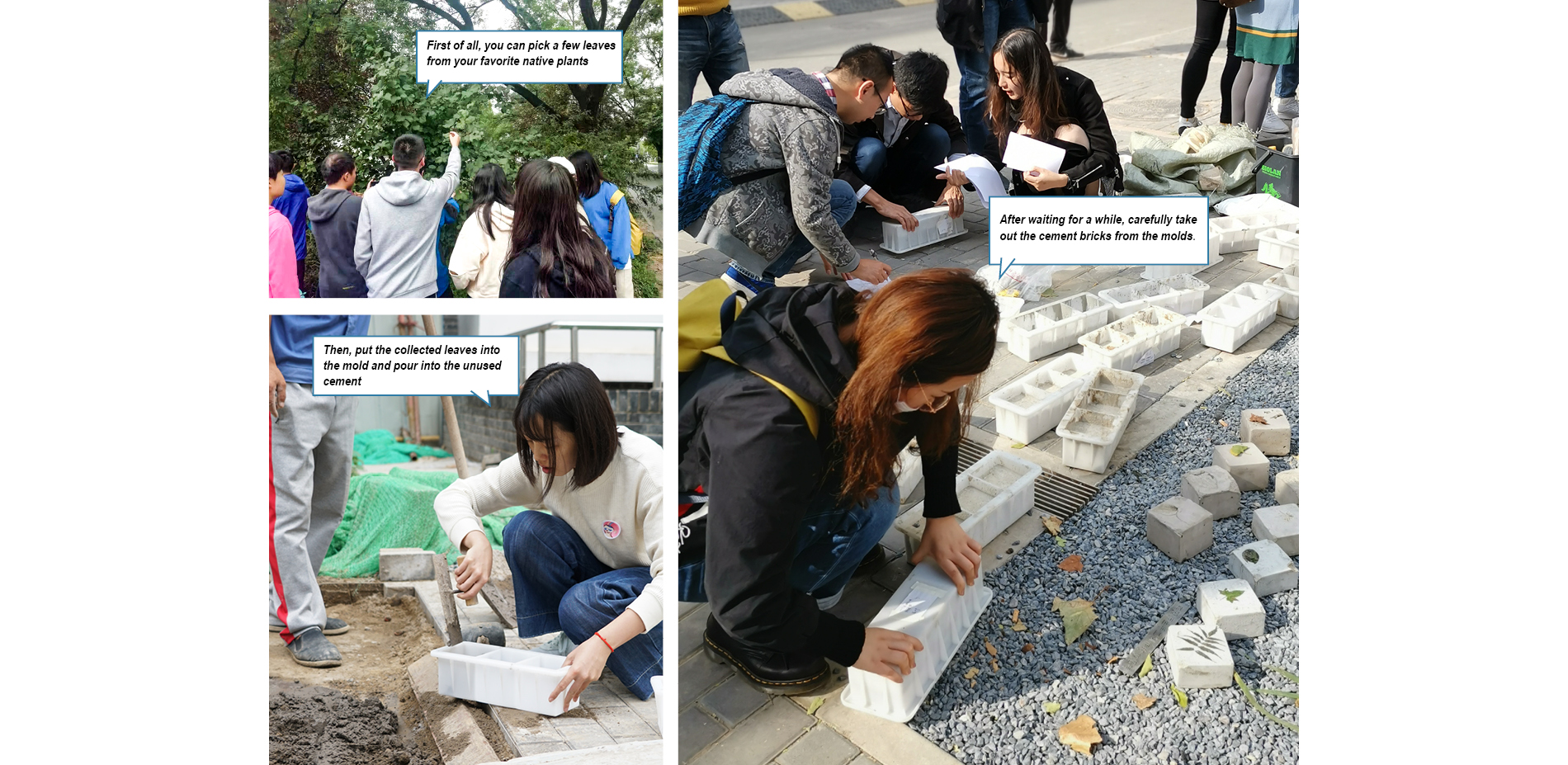 Herbarium Brick Workshop