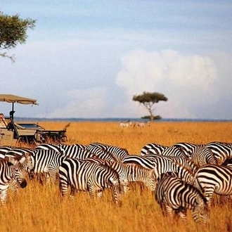 tourhub | Spider Tours And Safaris | 3 Days Tanzania Mid-Range Lodge Safari 