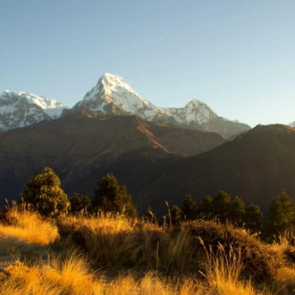 tourhub | Sherpa Expedition & Trekking | Ghorepani Ghandruk & Jhinu Danda Trek 