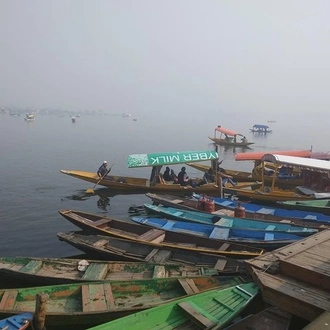 tourhub | Agora Voyages | Discovering Srinagar: A 3-Day Tour of the City of Gardens 