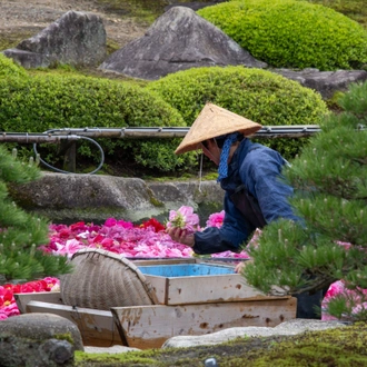 tourhub | Heritage Expeditions | Eternally Sacred Japan & South Korea 