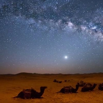 tourhub | On The Go Tours | Morocco Meteor Shower - 9 days 