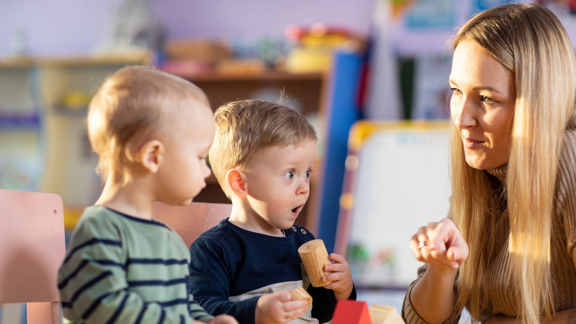 Représentation de la formation : LES BONNES PRATIQUES DES PROFESSIONNELS DU SECTEUR DE  LA PETITE ENFANCE 