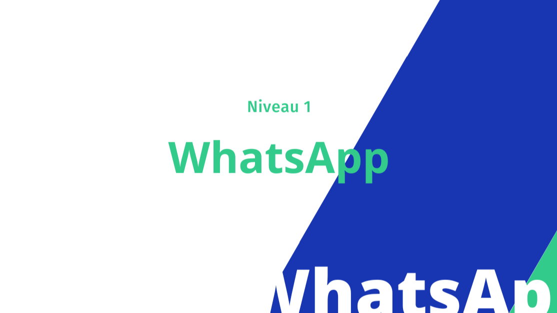 Représentation de la formation : WhatsApp Business