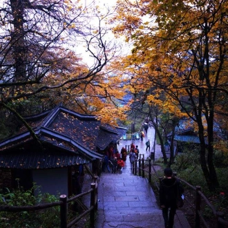 tourhub | Silk Road Trips | 2-Day Leshan & Mt Emei Trip from Chengdu 