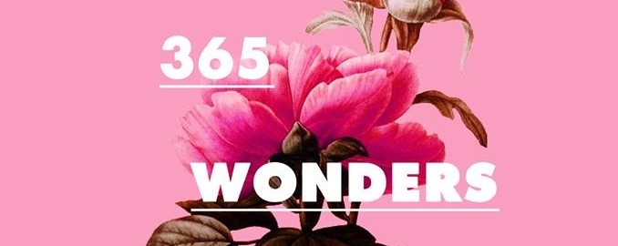 365 Wonders 2016 Planner Launch Event