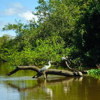 tourhub | Bamba Travel | Bolivian Amazon Pampas Adventure 3D/2N (from Rurrenabaque) 