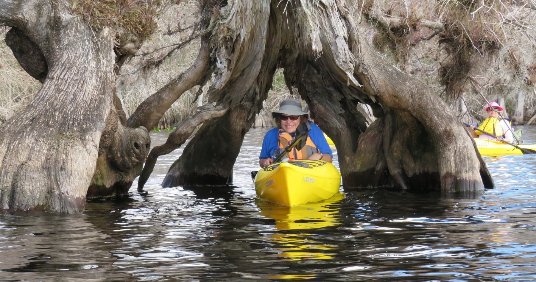 Lake Norris Explorer