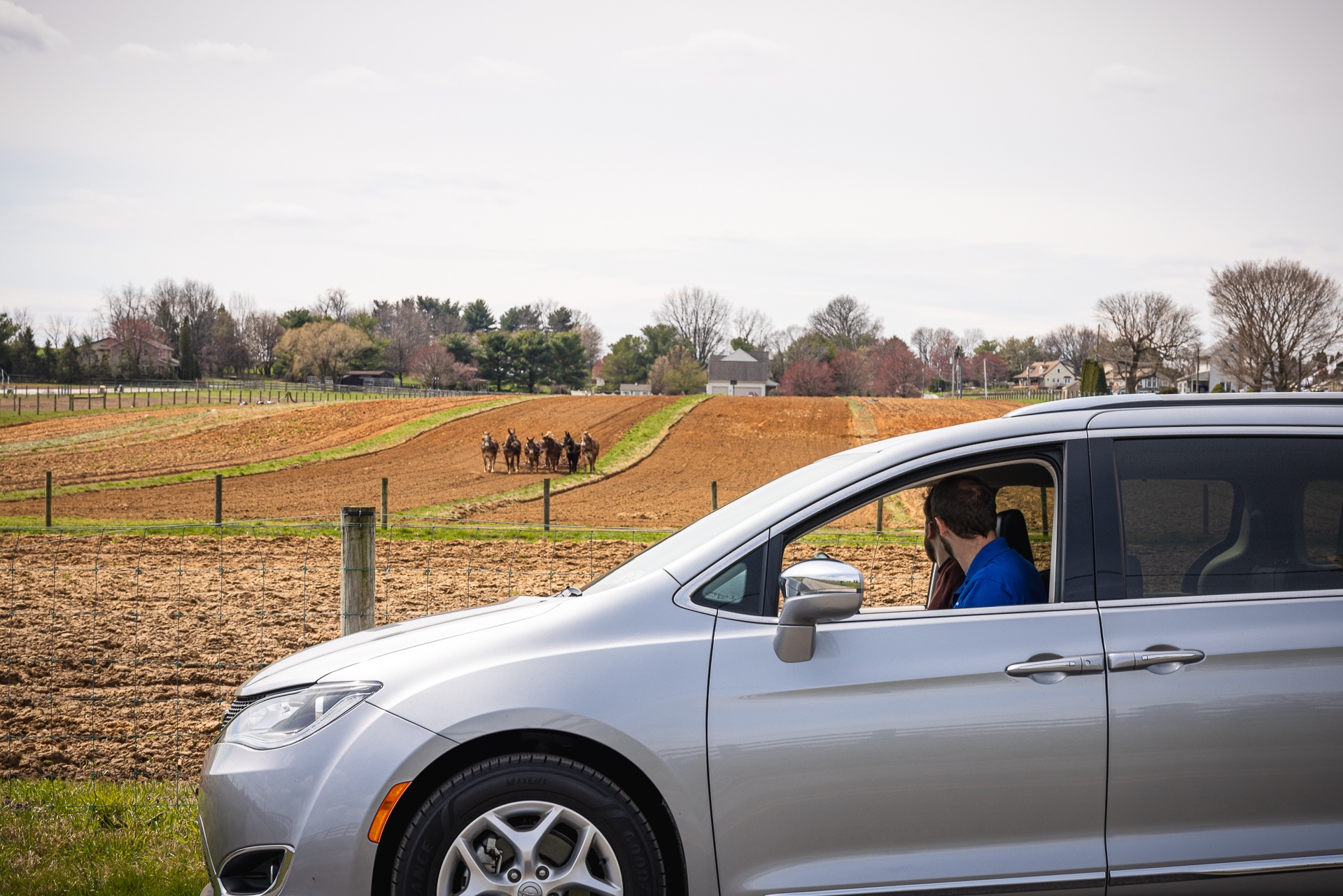 Countryside Tour