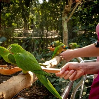 tourhub | Neumann Operadora de Receptivo | Private 3-Day Iguazu Falls Tour 