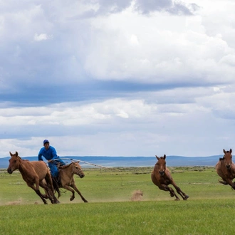 tourhub | Tour Mongolia | Essence of Mongolia - 5 Days 