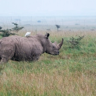 tourhub | Widerange African Safaris | 6 Days Tanzania Private Luxury Safari Package 