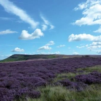 tourhub | Walkers' Britain | Coast to Coast: St Bees to Kirkby Stephen - 8 Days 