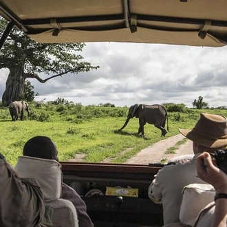 tourhub | Gracepatt Ecotours Kenya | Ngutuni Concervancy 2 Days Safari from Mombasa Beach 