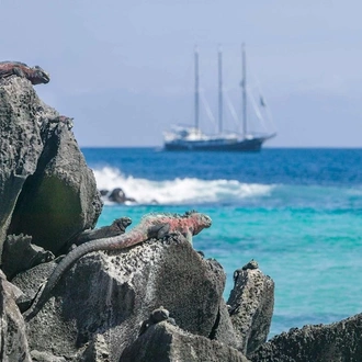 tourhub | Trafalgar | South America Revealed with Galápagos Legend North and Central Cruise 