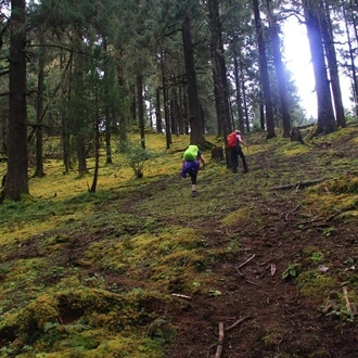 tourhub | Bhutan Acorn Tours & Travel | Druk Path Trek and Cultural Tour In Pristine Bhutan 