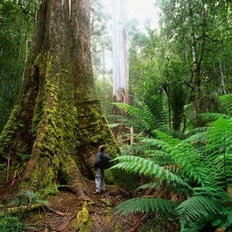 tourhub | Intrepid Travel | Walk Bruny Island & Tasmania's South West 