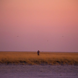 tourhub | Exodus Adventure Travels | Wildlife & Wilderness of Botswana 