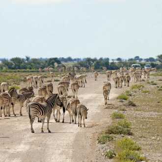 tourhub | Exodus Adventure Travels | Discover Namibia - Lodges 