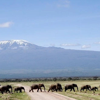 tourhub | Gracepatt Ecotours Kenya | 7 Days Tsavo West, Amboseli, Lake Nakuru & Masai Mara Wildlife Safari 