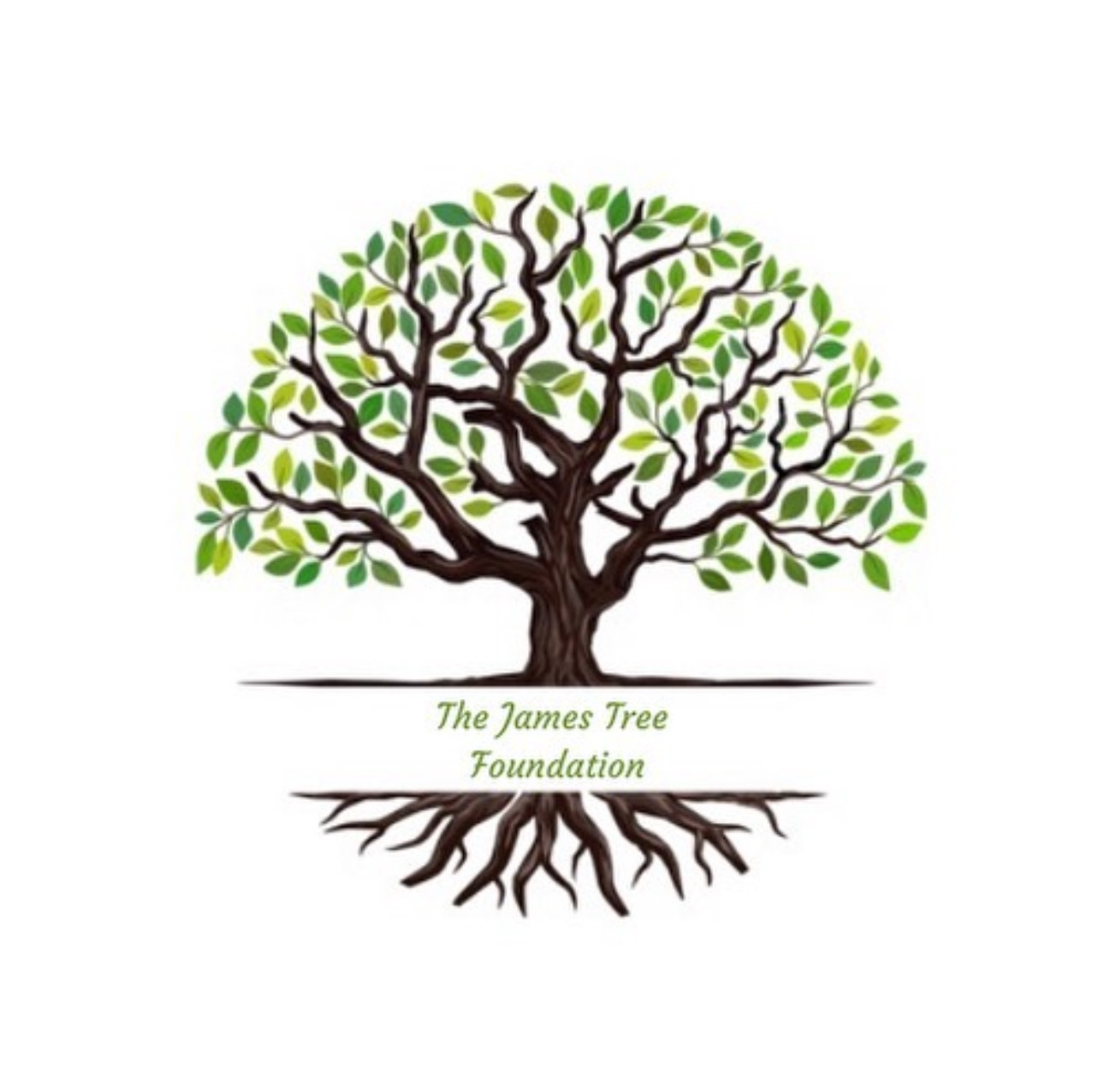 The James Foundation logo