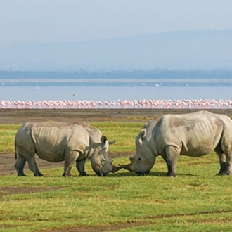 tourhub | Globus | Kenya Private Safari 