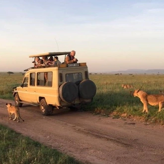 tourhub | Spider Tours And Safaris | 5 Days Big Five Tanzania Camping Safari 