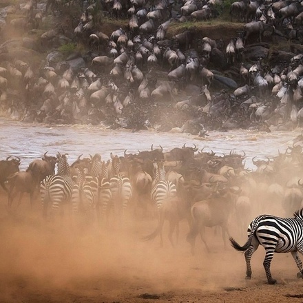 The Ultimate  Serengeti Migration Safari