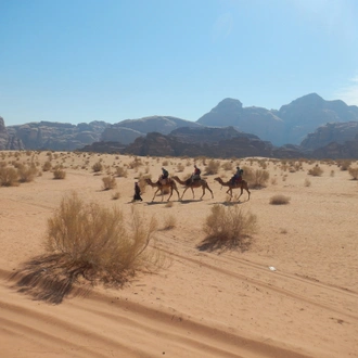 tourhub | Exodus Adventure Travels | Petra & Wadi Rum Trek 