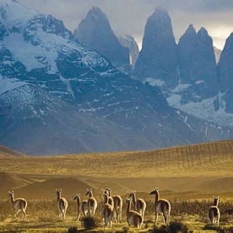 tourhub | World Expeditions | Torres del Paine Circuit 