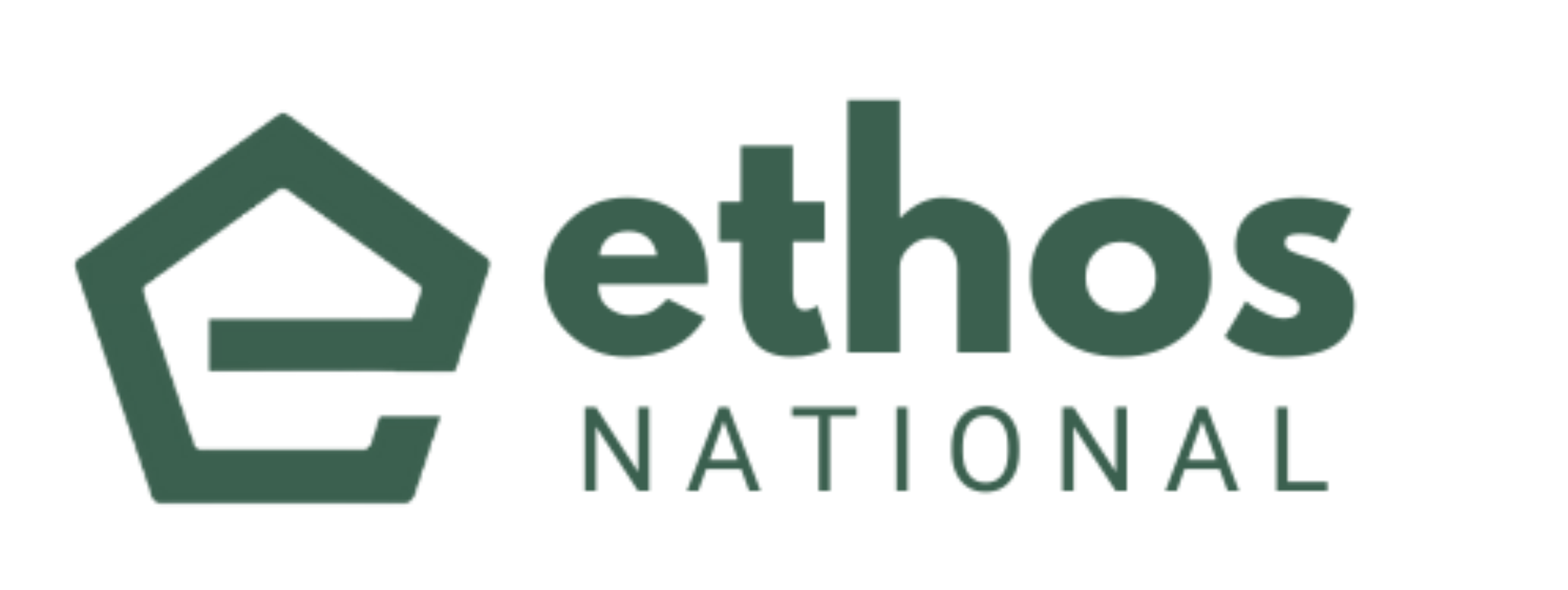 Ethos National logo