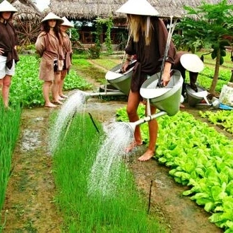 tourhub | CONNEK TRIP | 5-Day Explore Central of Vietnam: Hoi An - Da Nang - Hue 