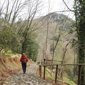 tourhub | UTracks | Via Francigena: Pontremoli to Lucca 