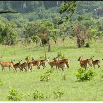 tourhub | Continent Tours | Authentic Cultural Experience  Of Ghana 